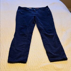 Pilcro Blue Straight Leg Pants